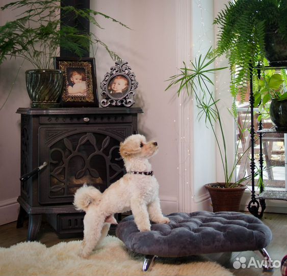 Лежанка для кошечек и собачек