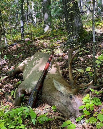 Манок на изюбря, марала, оленя. Ваба на лося