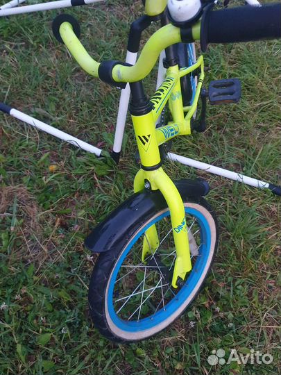 Детский велосипед Welt Dingo 16