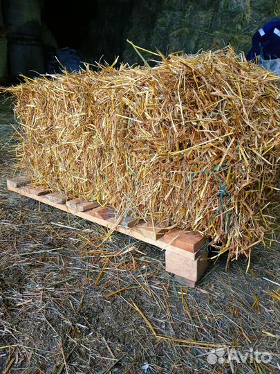 Солома в тюках 20 кг