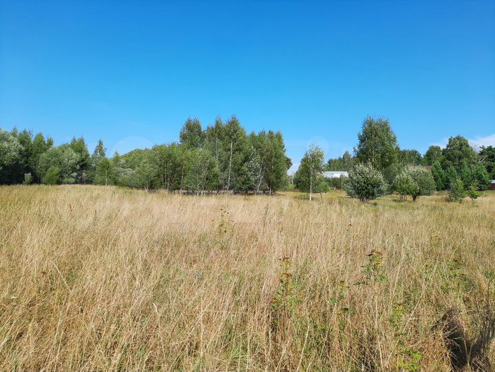 Участок 32 сот. (ИЖС)