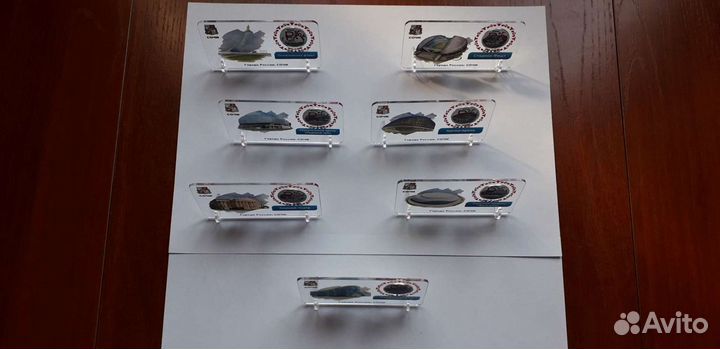 Сувенирный рубль в пластиковой подставке