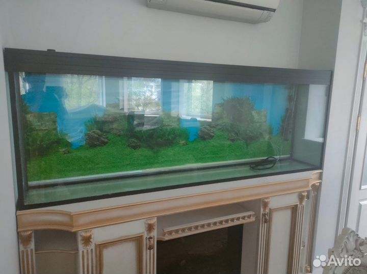 Аквариум