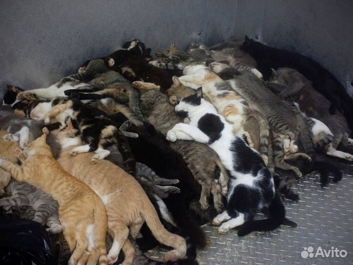 Победители конкурса