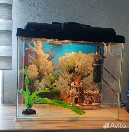 Аквариум