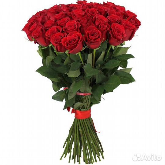 Букет из 51 розы Арбуз 80 см
