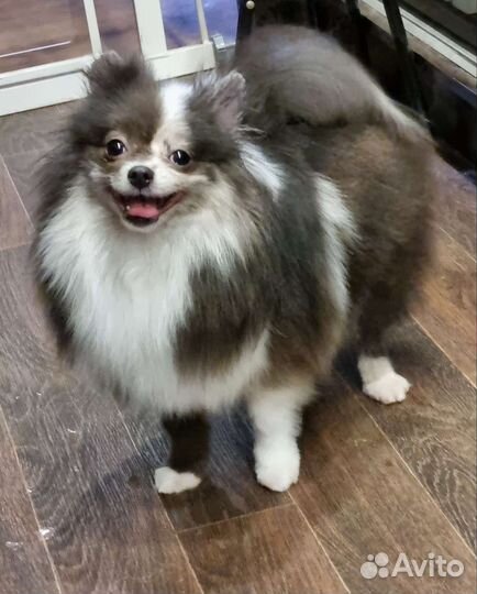 Взрослые девочки