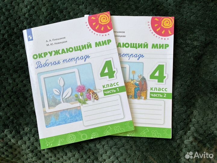 Рабочие тетради 4 класс по окружающему миру