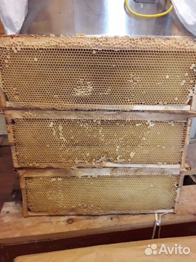 Сушь для пчел