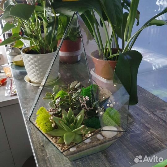 Флорариум с суккулентами. Подарок.Учителю