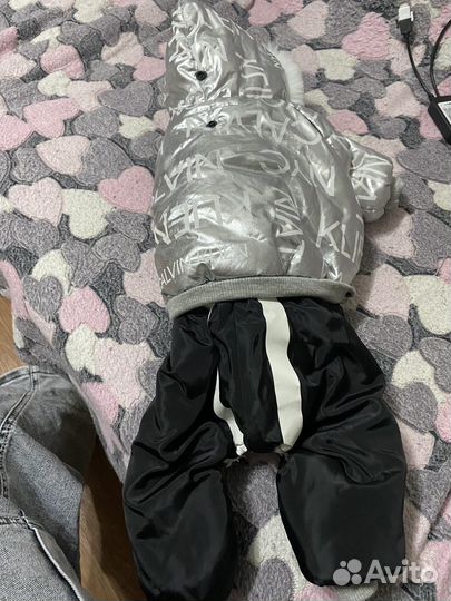 Одежда для собак мелких пород