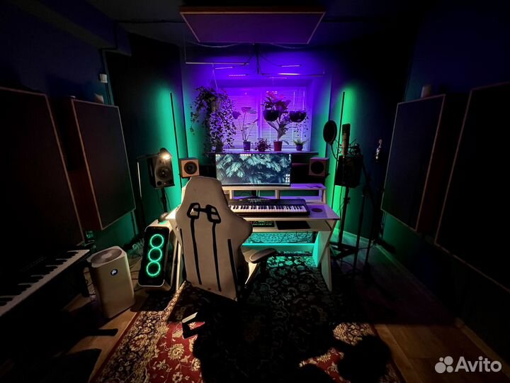 Студия звукозаписи endemic records