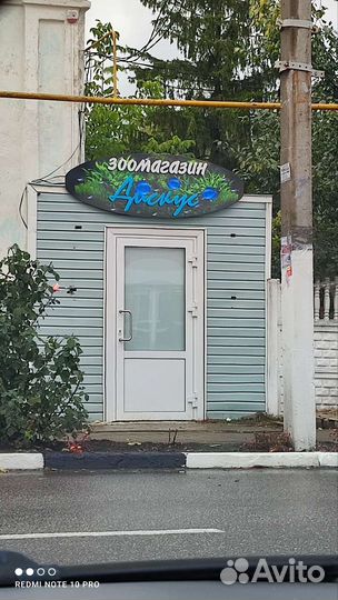 Аквариумные рыбки