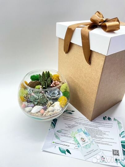 Подарок Декор флорариум суккуленты