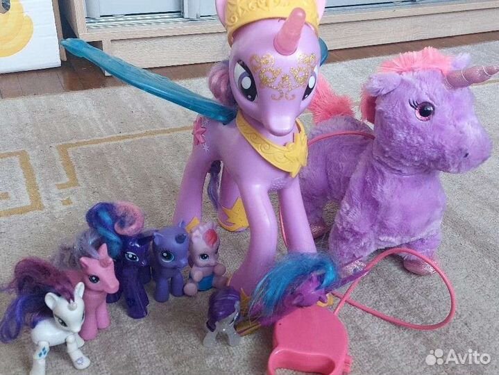 My little pony семейка
