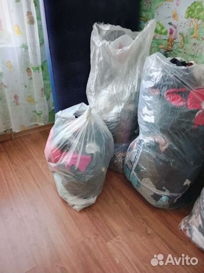 Женская одежда