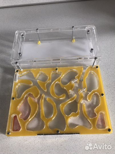 Муравьиная ферма бу