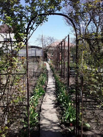 Дом 100 м² на участке 9,3 сот.