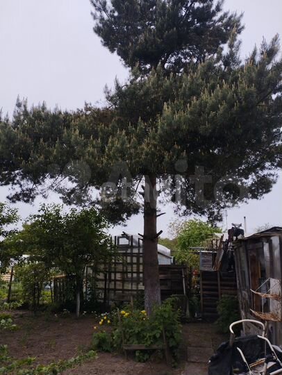 Дача 37,7 м² на участке 6 сот.