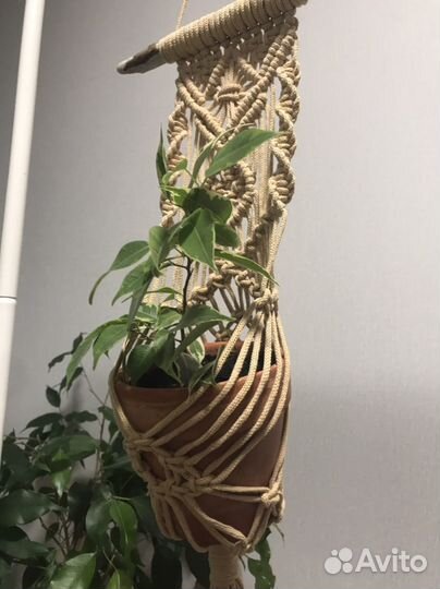 Подвесное кашпо макраме с дрифтвуд