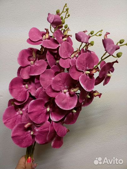Орхидеи искусственные