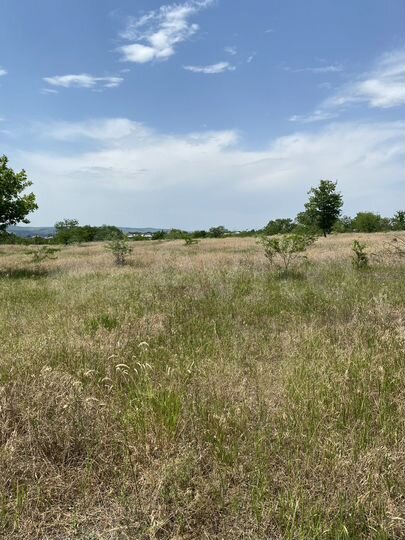 Участок 6 сот. (ИЖС)