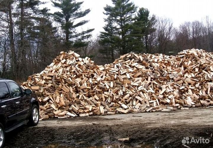 Дрова осина