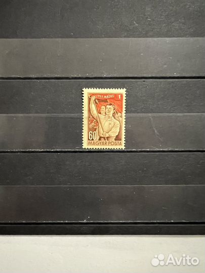 1953 г. Венгрия