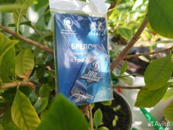 Брелок Тройка Динамо