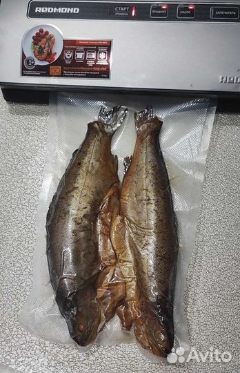 Форель горячего копчения