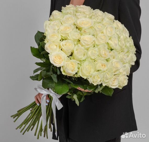 Крупные розы 24/7