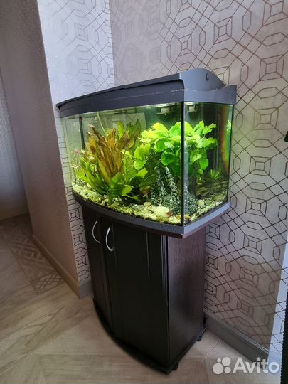 Аквариум tetra панорамный 120л