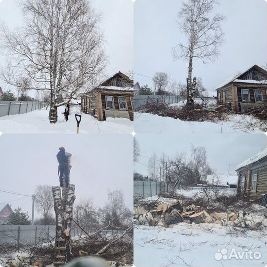 Спил деревьев, обрезка, расчистка участков
