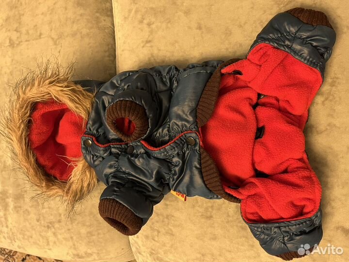 Одежда для маленьких собак