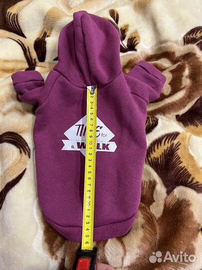 Одежда для собак