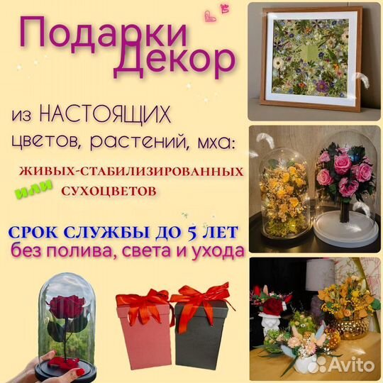 Картина из сухоцветов по Вашим размерам, от