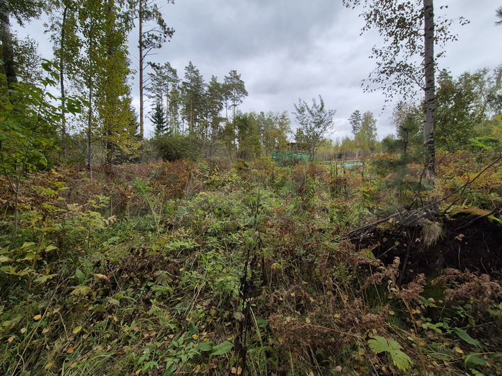 Участок 10 сот. (СНТ, ДНП)