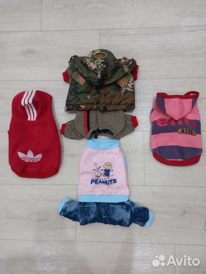 Одежда для маленьких собак