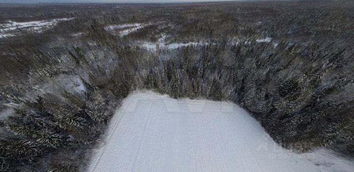 Участок 4,96 га (СНТ, ДНП)