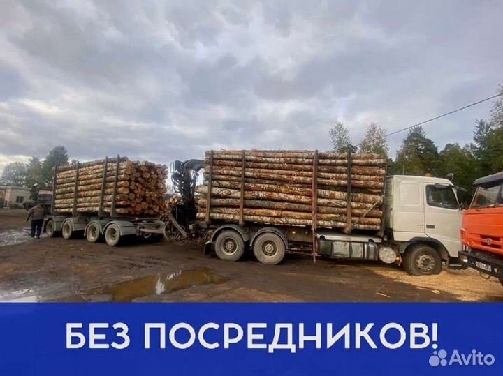 Дрова Качественные