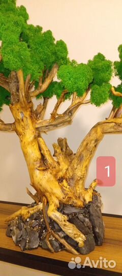 Бонсай искусственный