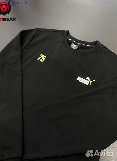 Свитшоты Nike, Adidas, Puma (Арт.31444)