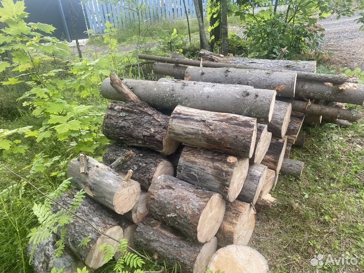 Дрова, Ель и Сосна