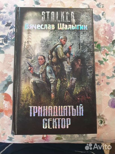 Тринадцатый сектор,В.Шалыгин
