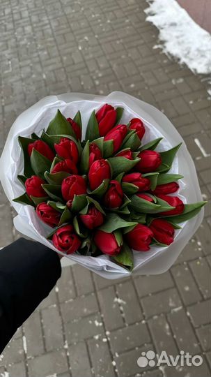 Предзаказ тюльпанов на 8 марта