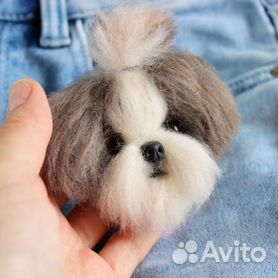 Выбрать и купить Одежда для собак породы ши-тцу по ценам интернет магазина Москвы