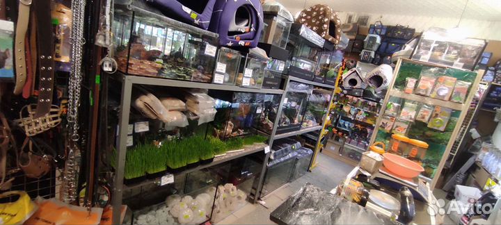 Аквариумы разных форм и размеров