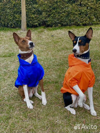 Дождевик для собаки