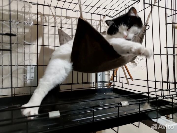 Гамак для кошек