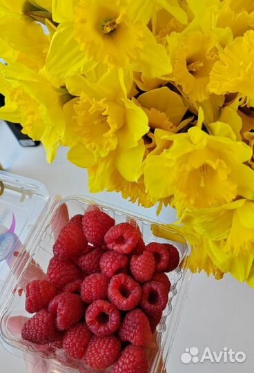 Малина свежая